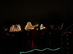 098 Toledo Zoo Light Show [2008 Dec 27]